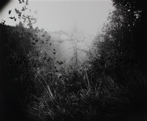 Image description is not available for 2013.022